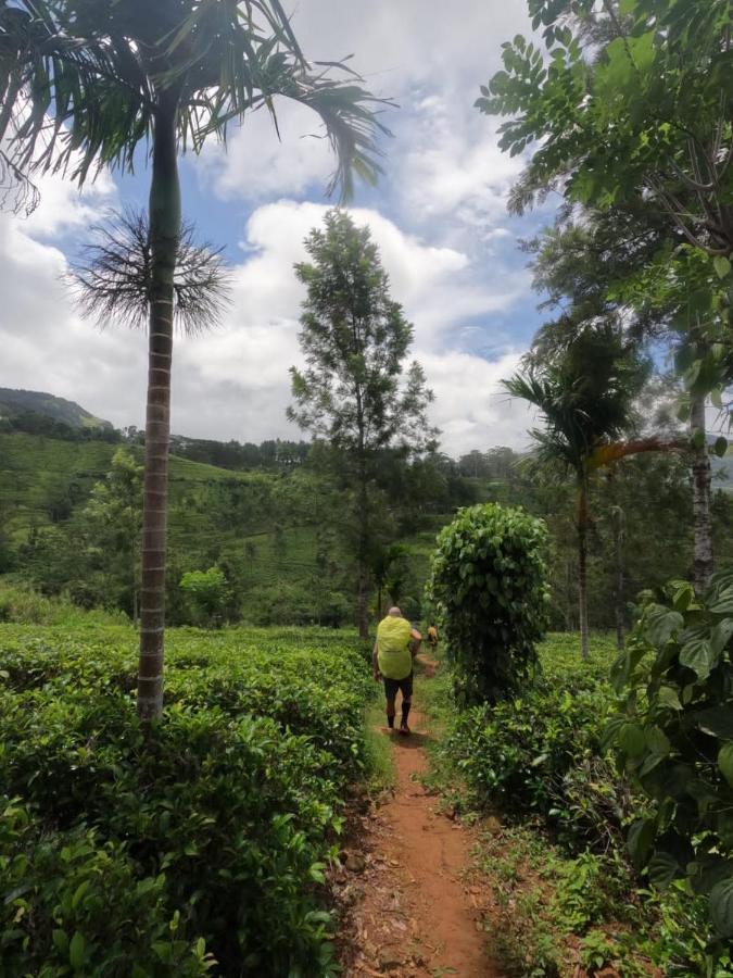 Eco Village Yoga Home Digana Buitenkant foto